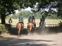 Stadnina Koni w Janowie Podlaskim