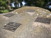 Stadnina Koni w Janowie Podlaskim