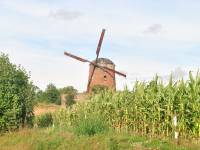 Wiatrak holenderski we wsi Zdrzewno