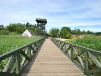 Wieża widokowa w Rąbce