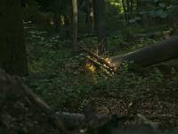 Ojcowski Park Narodowy