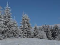 Przełęcz Sokola Ski