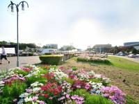 Skwer Tadeusza Kościuszki