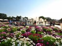 Skwer Tadeusza Kościuszki