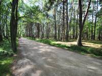 Ścieżka Przyrodnicza Rąbka