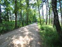 Ścieżka Przyrodnicza Rąbka