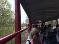 Nadwiślańska Kolejka Wąskotorowa