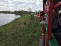 Nadwiślańska Kolejka Wąskotorowa