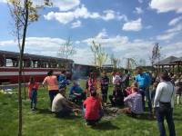 Nadwiślańska Kolejka Wąskotorowa