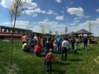 Nadwiślańska Kolejka Wąskotorowa