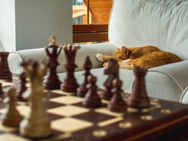 Pensjonat Rybical na Mazurach