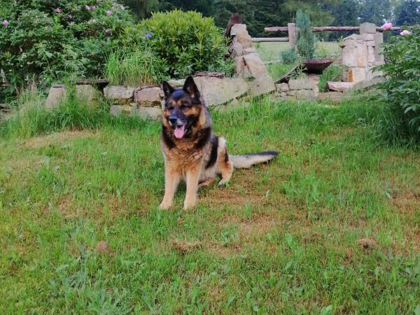 Chata Lidia - kontakt telefoniczny