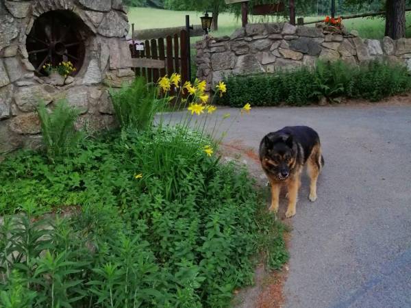 Chata Lidia - kontakt telefoniczny