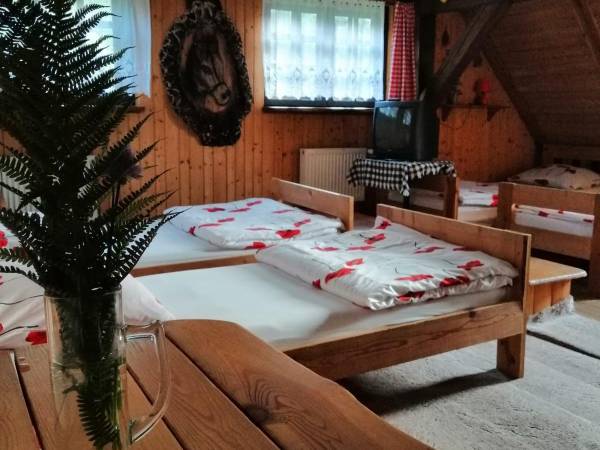 Chata Lidia - kontakt telefoniczny