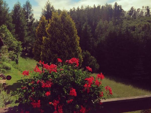 Chata Lidia - kontakt telefoniczny