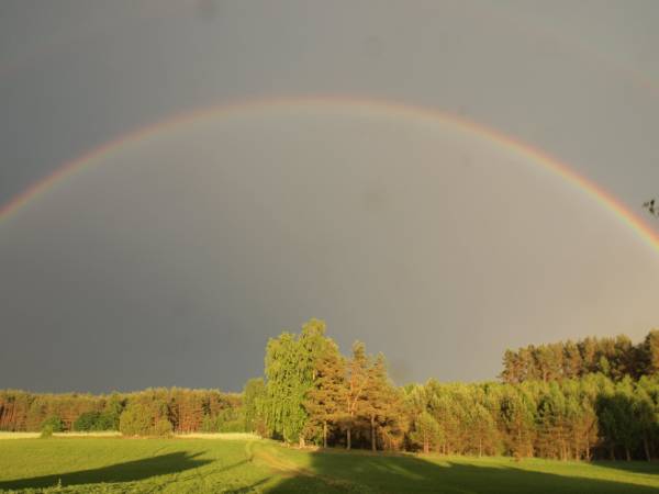 ZAKĄTEK HYGGE - domki letniskowe