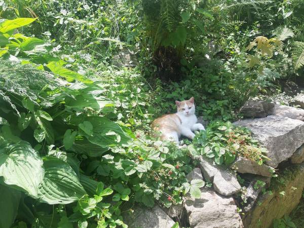 Chata Lidia - kontakt telefoniczny