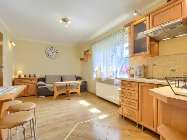 pokój z aneksem w apartamencie