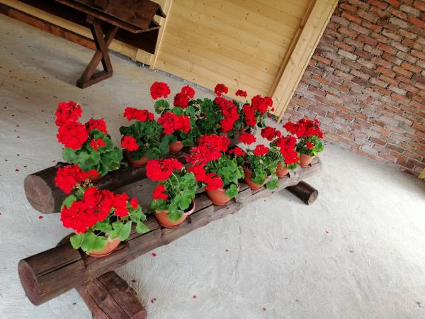 Agroturystyka 'Wudarsówka"