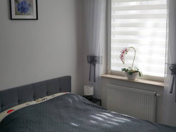 Apartament w Jantarze