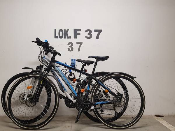 Apartament w Jantarze