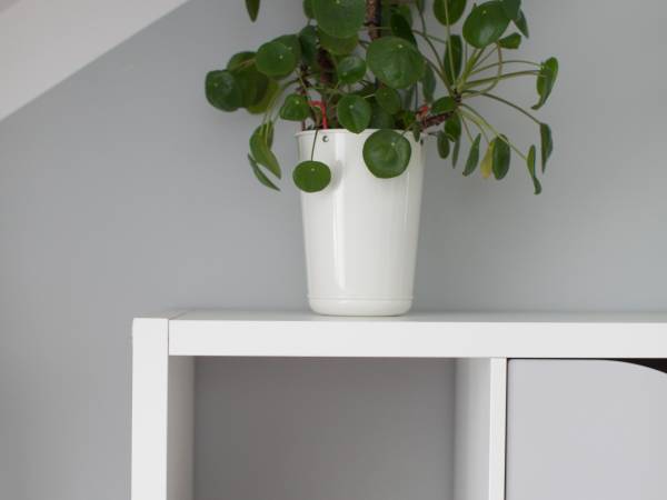 Apartamenty i kwatery pracownicze 