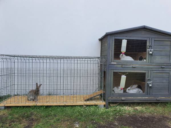 Villa Łeba Pokoje & Apartamenty