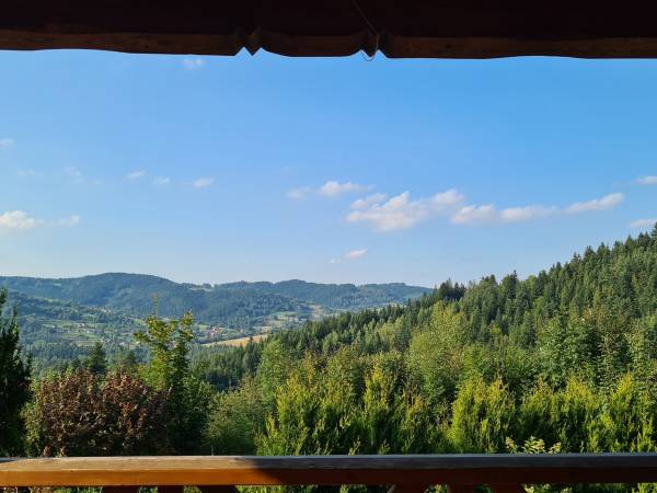 Widok z dolnego tarasu latem