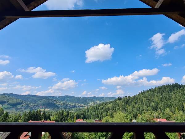 Widok z górnego tarasu latem