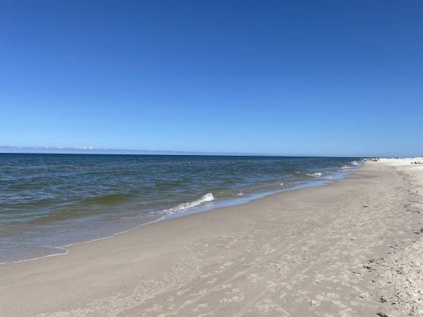 Apartament na wynajem