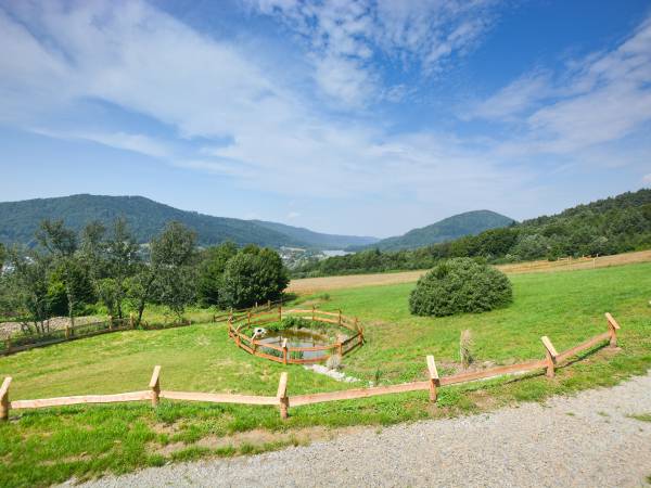 Całoroczny Domek z widokiem na jezioro