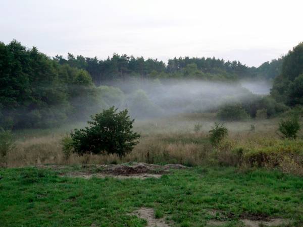 Widok z balkonów na dolinę