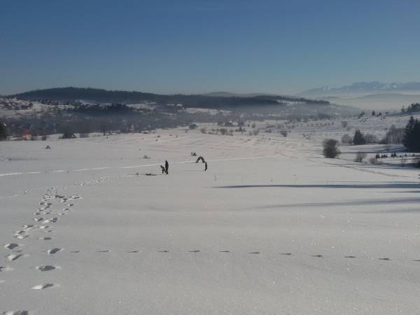 Agroturystyka u Kardasia