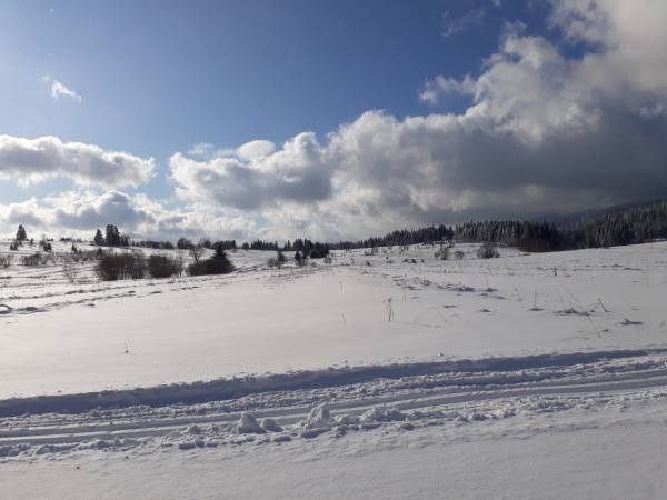 trasa narciarstwa biegowego