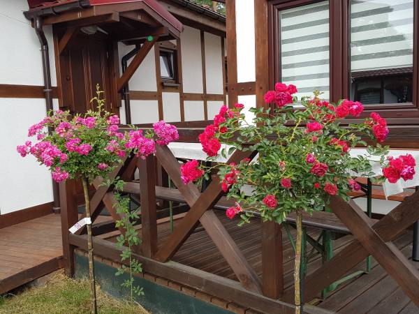 Pustkowo Domki Wakacyjne u Marka