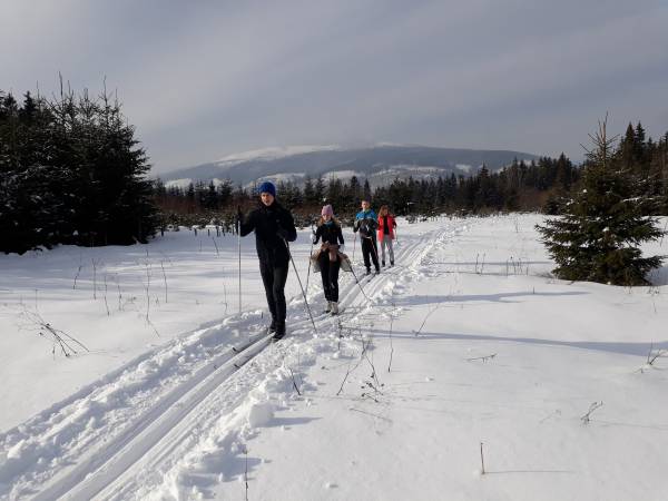 Agroturystyka u Kardasia