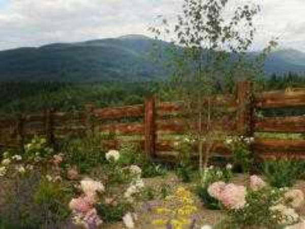 chortensje w ogrodzie