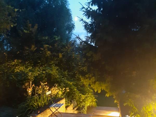 Pensjonacik Kameralny