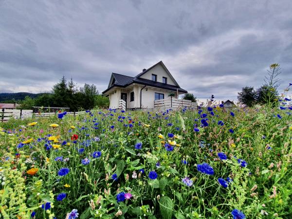 Rajska Chata w górach z Balią