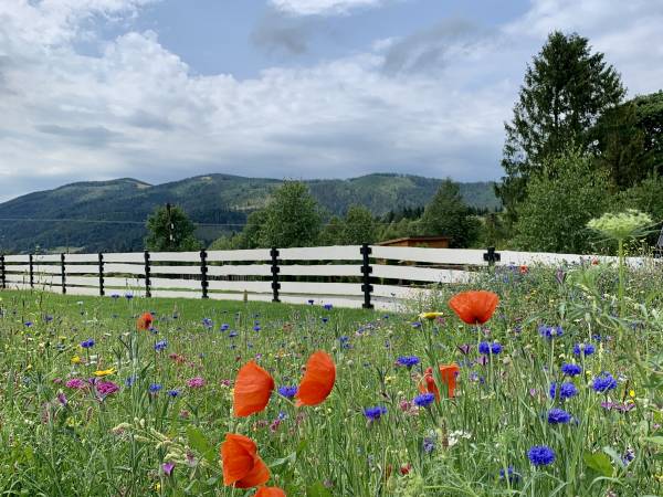 Rajska Chata w górach z Balią