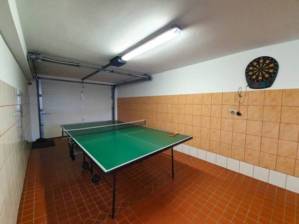 stół do tenisa, dart