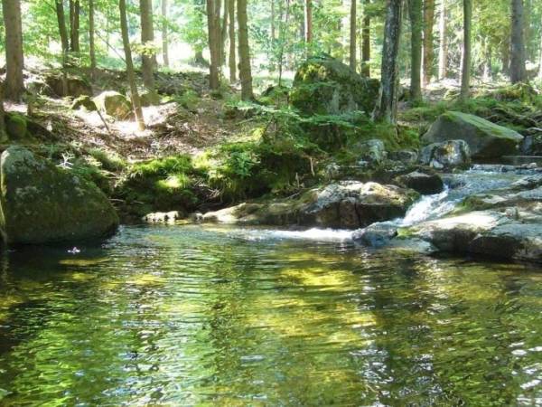 Potok Czerwień, kąpielisko