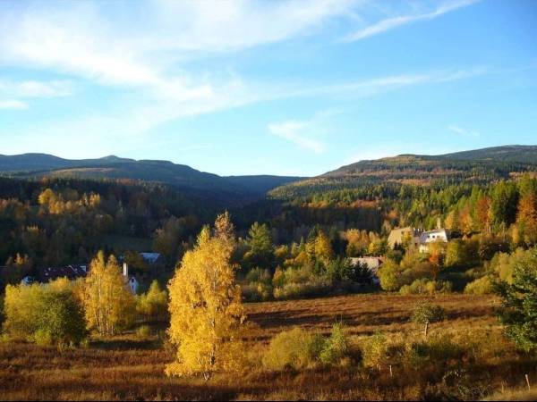 Jesień widziana z tarasu