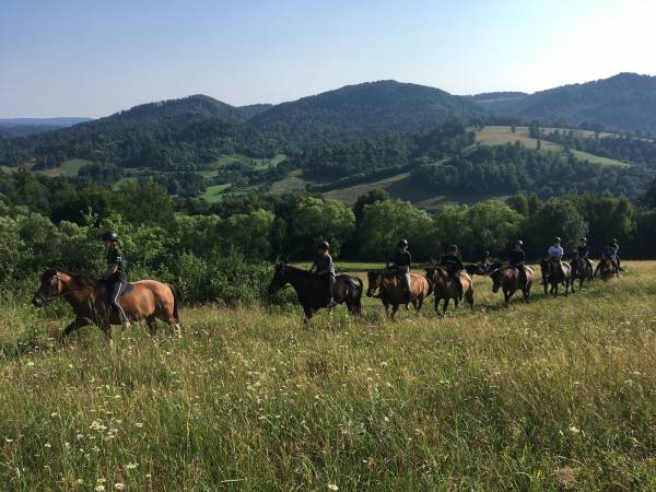 fot. Stadnina Koni Huculskich Tabun