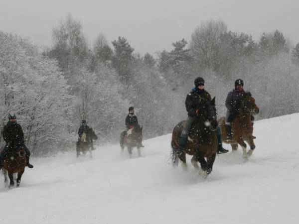 fot. Stadnina Koni Huculskich Tabun