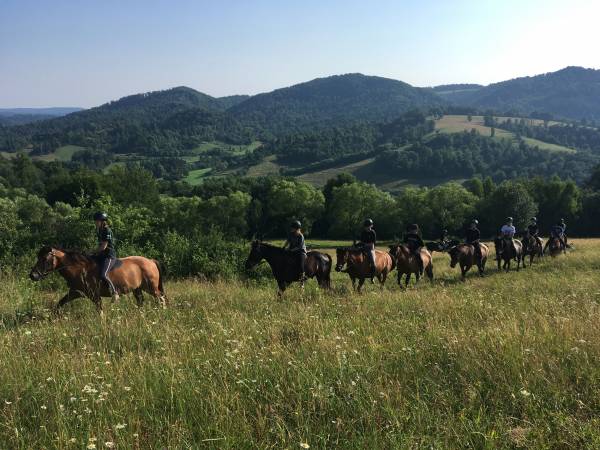 fot. Stadnina Koni Huculskich Tabun