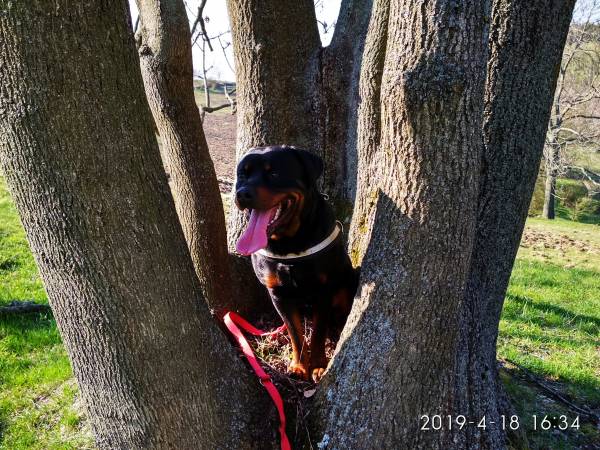 apartament AGRO BEATUS