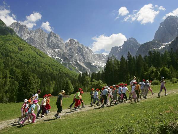 Zapraszamy grupy zorganizowane!