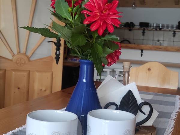 Jadalnia z aneksem kuchennym