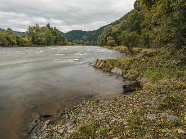 Domki Sokolica nad Dunajcem 